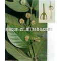 Uncaria Rhynchophylla extract powder